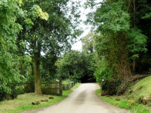 Access road to Standen © Copyright nick macneill and licensed for reuse under this Creative Commons Licence.