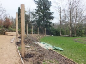 The Bamboo Garden David Marsh, Feb 2014