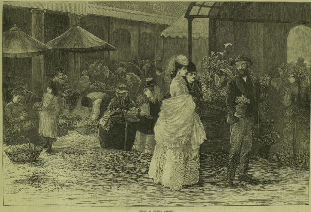 "Spring in Covent Garden." Illustrated London News 25 May 1872