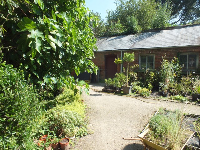 David marsh July 2014