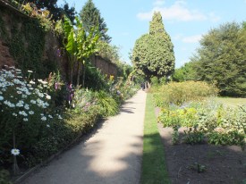 David Marsh, July 2014