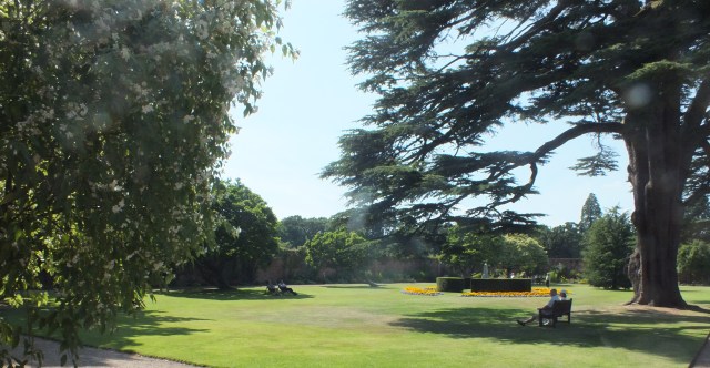 David Marsh, July 2014