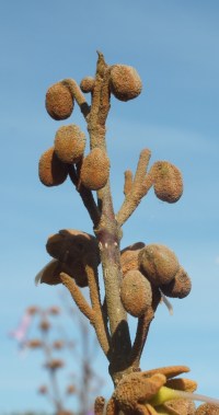 David Marsh May 2015