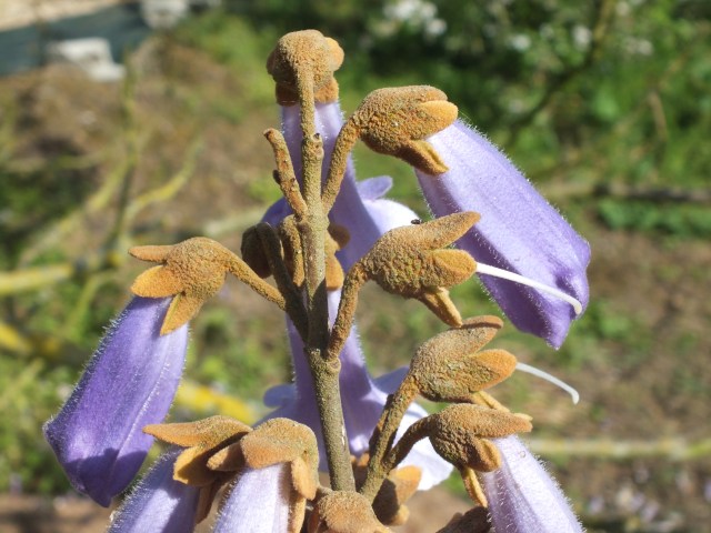 David Marsh May 2015