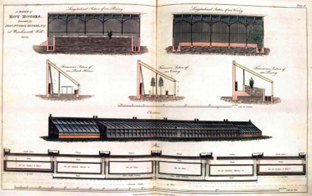 "A Range of Hot Houses executed for John Anthony Rucker, Esq" from George Tod Plans, elevations and sections, of hot-houses, green-houses, and aquarium, conservatories, &c, 1812