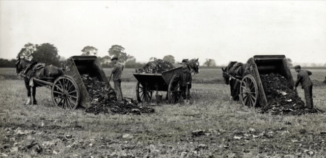 Night Soil collectors emptying their carts onto allotment land - © Hull City Council, Hull Public Health Department Photograph