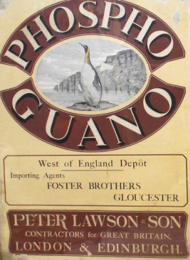 Guano advert, Gloucester 1860 http://bbprivateer.ca/?q=panther