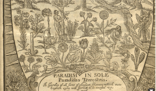 detail from the title pge of Paradisi in sole paraidus terrestris, John Parkinson, 1629