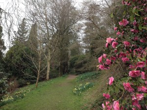 David Marsh, March 2015