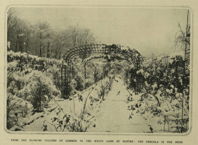 The pergola in the snow [at Woodlands?] from Illustrtaed London News, 17th Januray 1914