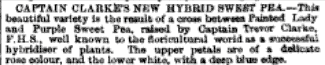 from Gardeners’ Chronicle. Dec. 10, 1859 p. 990