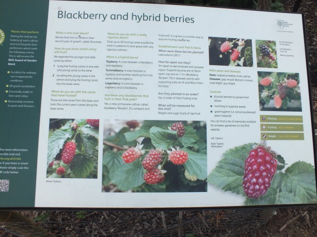 Wisley Trail Ground notice July 2015 DM