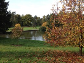 David Marsh, Oct 2015