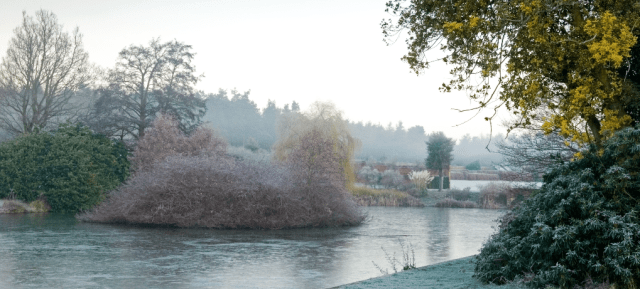 marks275 December . Winter frost . landscape garden . Owners: The Thomas Phillips Price Trust Marks Hall Estate, Coggeshall UK Jerry Harpur December, Winter, frost, landscape, garden, Marks Hall Estate, Coggeshall, UK, Jerry Harpur,