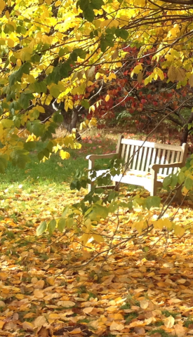 David Marsh, Oct 2015