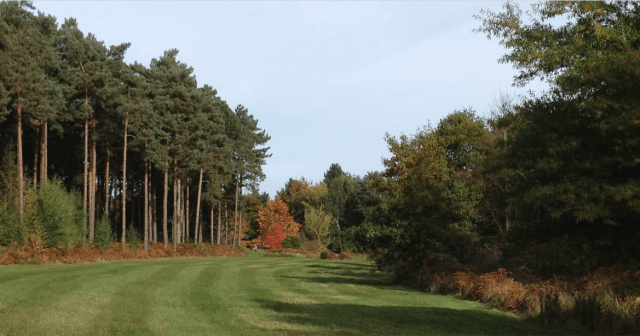 David marsh, Oct 2015