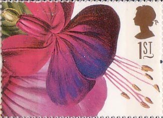  Fuschia Princess of Wales (Augusta Withers) -http://www.collectgbstamps.co.uk