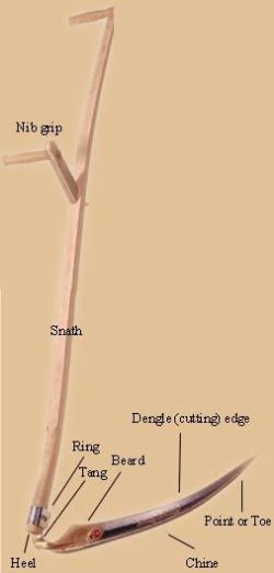 Diagram of a mowing scythe by Elliot Fishbein http://www.motherearthnews.com/homesteading-and-livestock/mowing-with-a-scythe-zmaz02fmzgoe.aspx