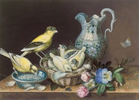Still life of two canaries http://www.artnet.com/artists/augusta-innes-withers/still-life-of-two-canaries-4XEaXk3uf_vDL93pH5de6g2