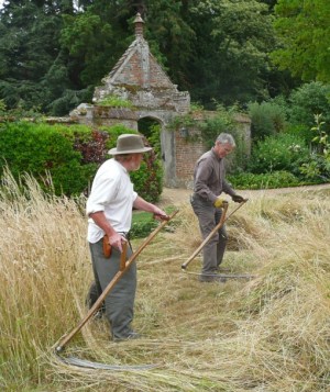 scything at Oxburgh Hall http://wildseed.co.uk/articles/2015/04/16/scythe-training-events-and-courses-2015