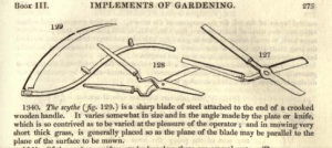 Loudon's Encyclopedia 1825, p.275