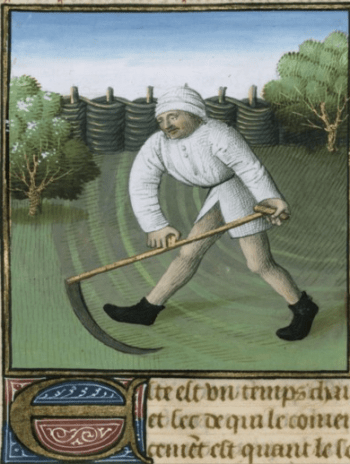 barthélemy l'anglais, de proprietatibus rerum 1480 BNF Ms Francais 9140
