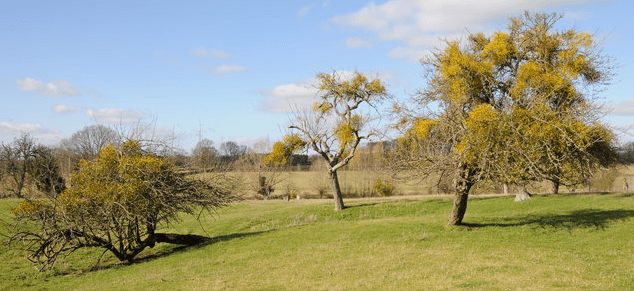 © Copyright Philip Halling and licensed for reuse under this Creative Commons Licence.