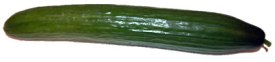 cucumber
