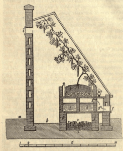 fromTheory and practice, applied to the cultivation of the cucumber