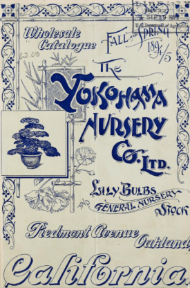 Wholesale Catalogie 1894/5