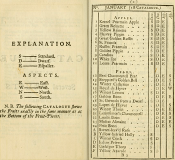 The first page of the Fruit catalogue contained in A Short ntroduction to Gardening