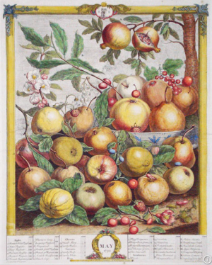 May from Twelve Months of Fruit