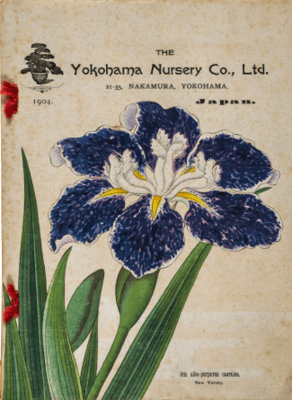 1904 catalogue http://www.the-saleroom.com/en-gb/auction-catalogues/bloomsbury-auctions/catalogue-id-blooms10063/lot-6eb5a736-7756-4704-88a4-a4e500e2813c