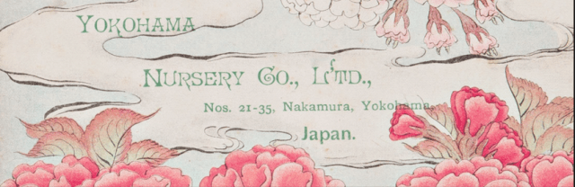 detail from the cover of the 1903 catalogueCaroline Simpson Library and Research Collection, Photograph (c) Jamie North, Sydney Living Museums