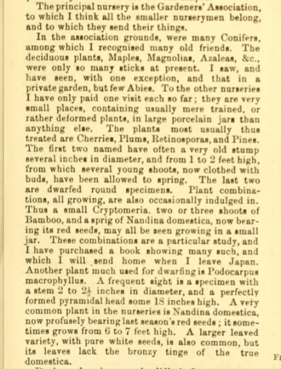 Extract from Traveller's Notes by James H Veitch, Gardeners Chronicle 1st April 1893