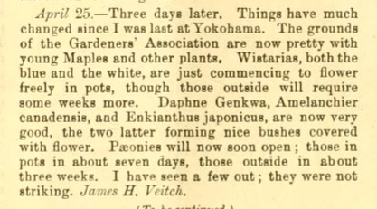 Extract from Traveller's Notes by James H Veitch, Gardeners Chronicle 13th May 1893