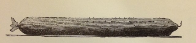 "The Perfection of a Cucumber" from The Gardener and Practical Florist, 1843