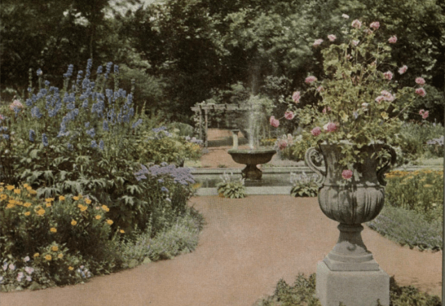 High Summer in the Garden, from Round the Year