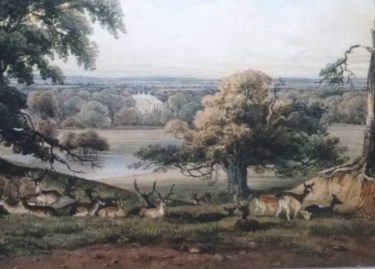 Ampthillhttp://www.landscapeinstitute.org/news/celebrating_300_years_of_capability_brown