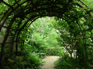 photo by Tere Sue Gidlof , 2007 https://www.flickr.com/photos/39450859@N07/4356783746