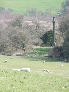 The Argyll Column from Archer's Hill Gate, David Marsh April 2016