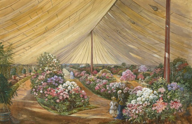 Painting of a scene at a flower show marquee signed, 'A Bright, 1866'. Research suggests that this painting could depict a scene at the 1866 Great International Horticultural Exhibition. The exhibition was held under canvas on the site of the Great Exhibition in Kensington adjacent to the Royal Horticultural Society garden. Proceeds from the exhibition were used by the society to purchase the Lindley Library.