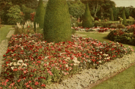 Annual Phlox in the foreground of the Flower Garden, evening Park, from Round the Year