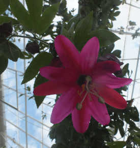 David Marsh, April 2016