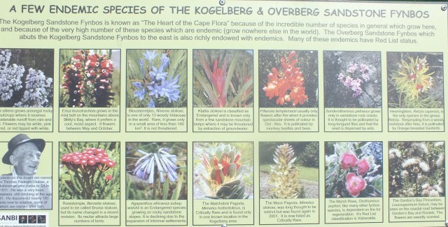 Image from an information board at the Harold Porter Botanic Garden, David Marsh, Feb 2106