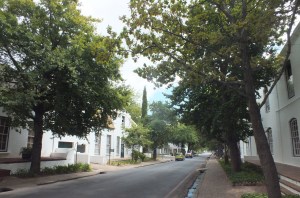 Stellenbosch, David Marsh, Feb 2016
