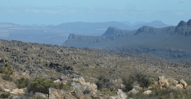 Looking towards the Cderberg