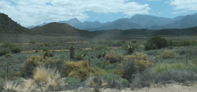 In the Little Karoo David Marsh, Feb 2016