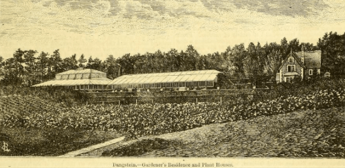 The Gardener's residence and Plant Houses, from The Journal of horticulture, cottage gardener and country gentlemen, 26th Dec 1872.