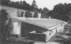 The Pits as they were c.1988 from Trotter, ‘The glasshouses at Dangstein' full ref below